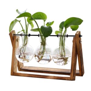 XXXFLOWER Plant Terrarium with Wood Stand – Retro Tabletop Air Planter Bulb Glass Vase with Metallic Swivel Holder for Hydroponics Residence Backyard Workplace Decor – 3 Bulb Vase